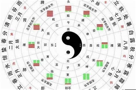 金木水火土缺什么|五行查询,五行缺什么查询,生辰八字五行查询,出生时辰五行查询